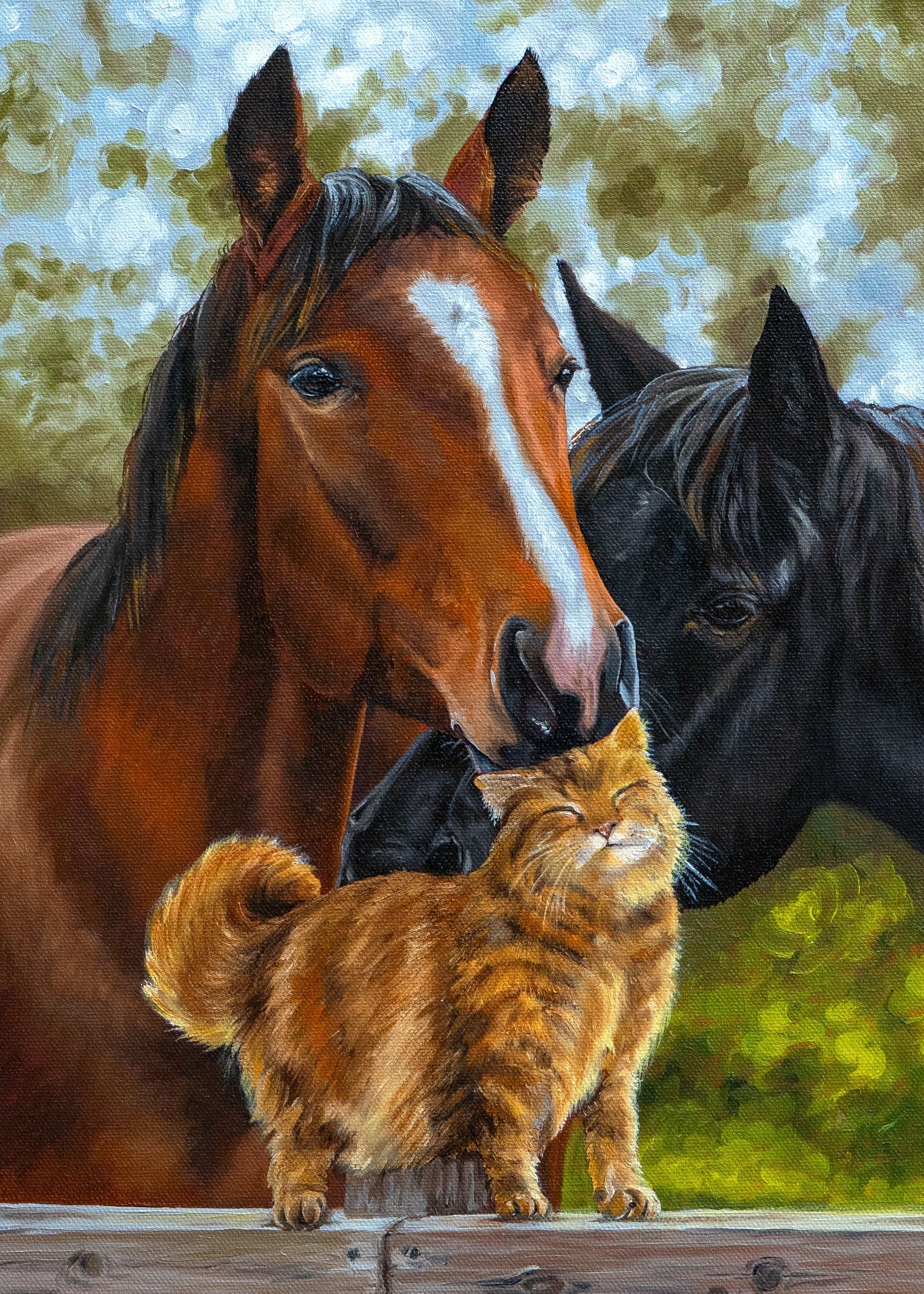 Two horses and a cat standing close together near a wooden fence with a blurred natural background.
