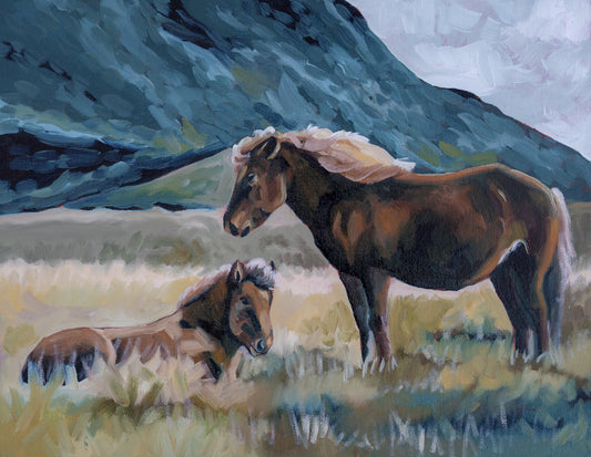 Icelandic Ponies Print