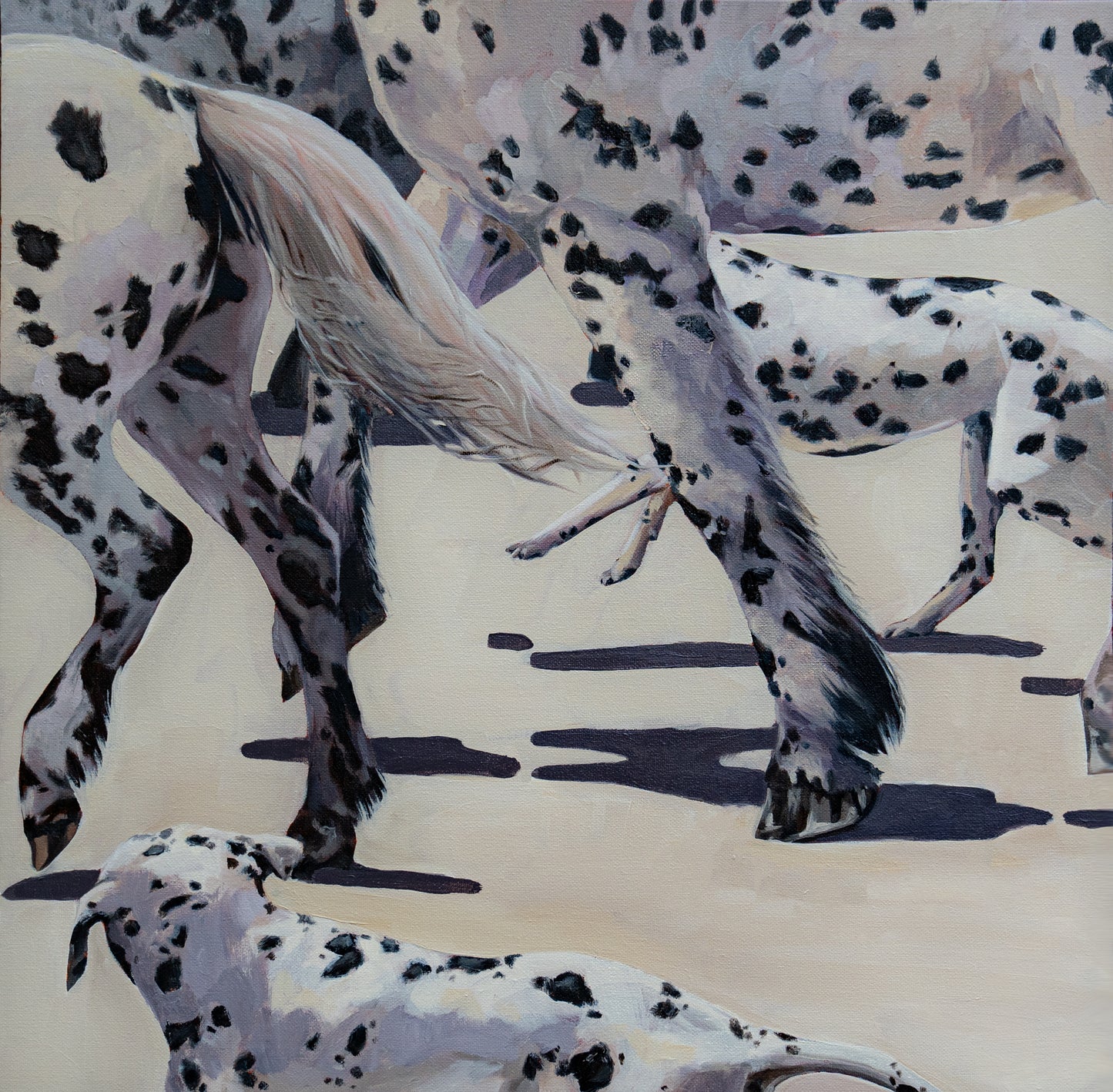 Spots Original