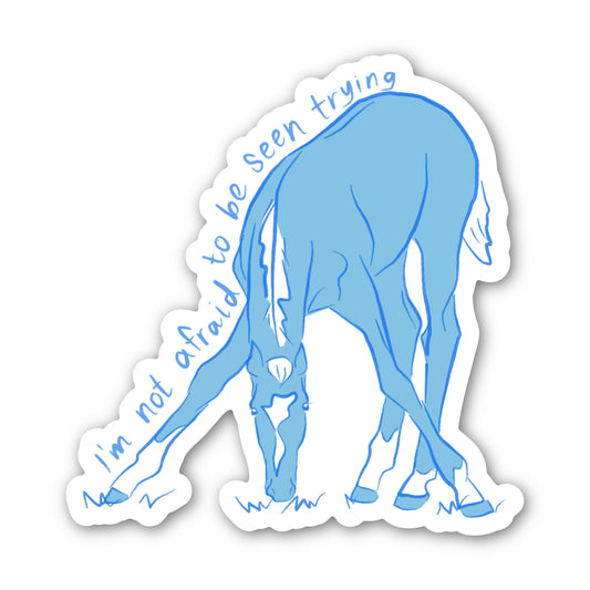 I'm Not Afraid to be Seen Trying 3" Sticker